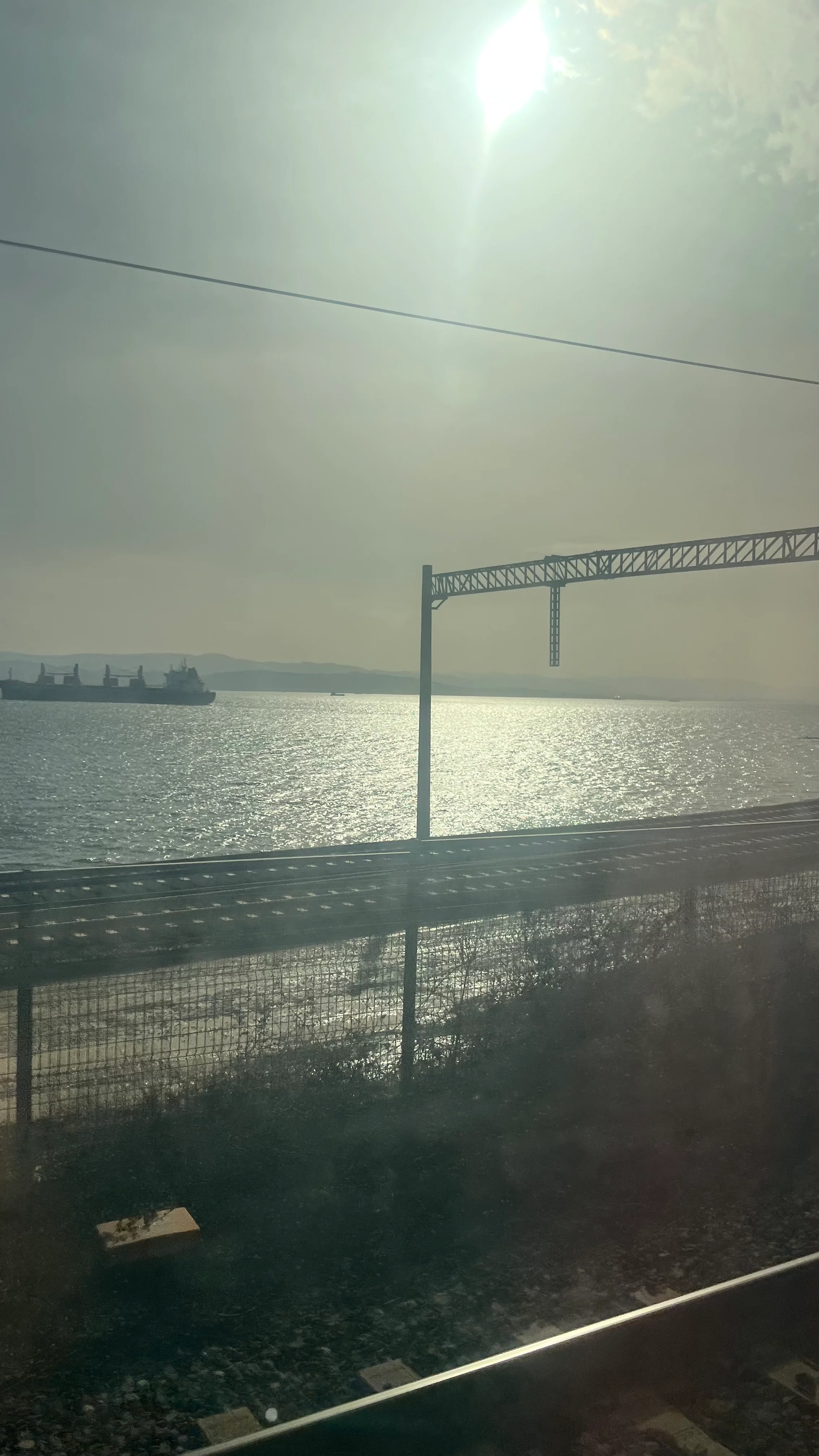 Mevsim Gecisinde Bagisiklik Destegi Rehberi