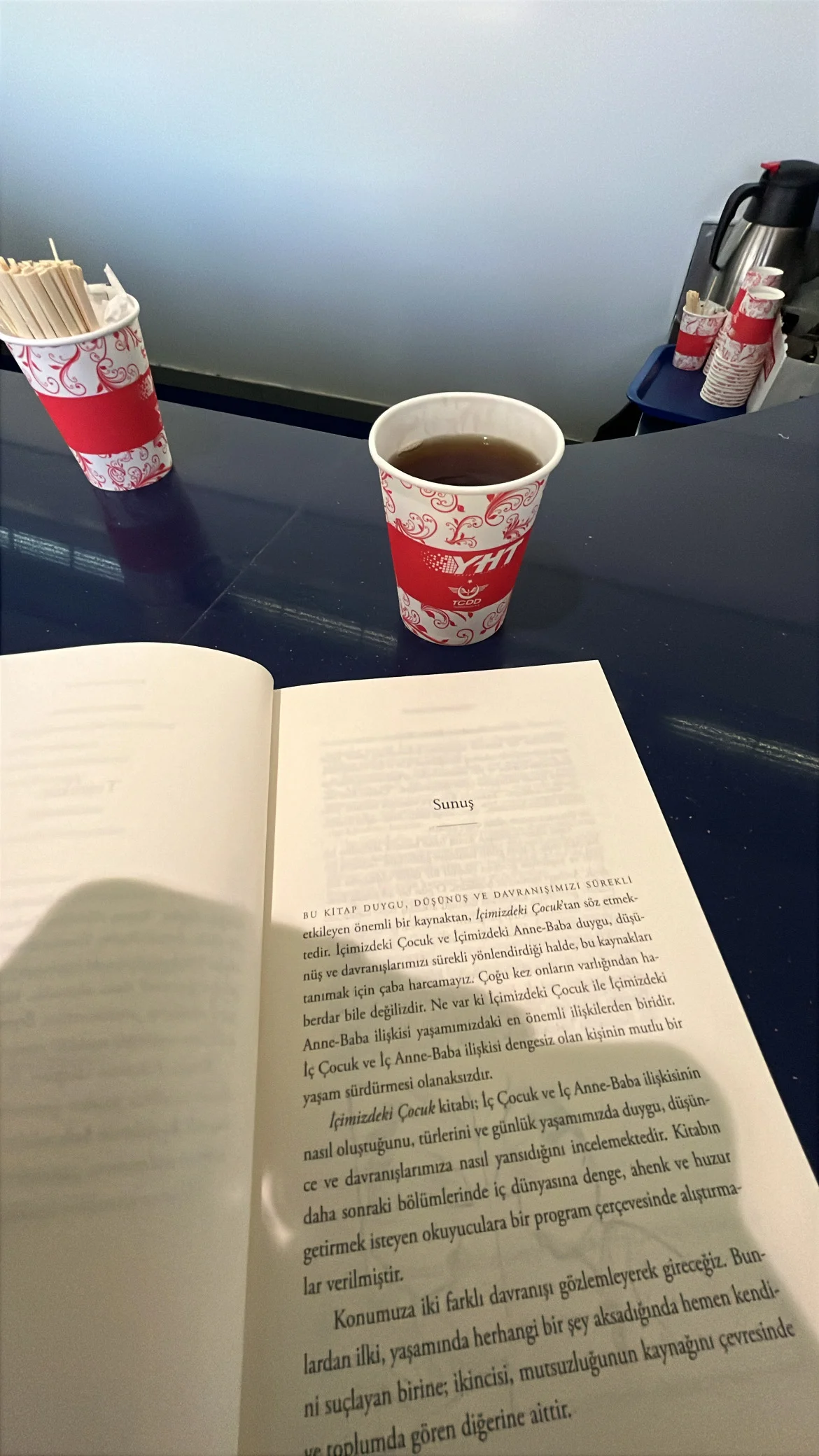 Saglikli Bagirsak Icin Probiyotik Secim Notlari